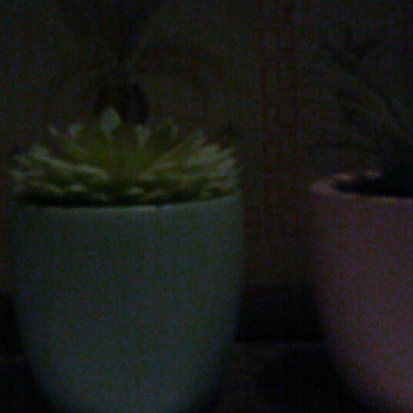 Meet your Posher, Remy - Picture 1 of 1